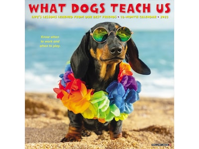 2023 Willow Creek What Dogs Teach Us 12 x 12 Monthly Wall Calendar (28117)