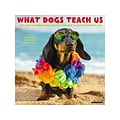 2023 Willow Creek What Dogs Teach Us 12 x 12 Monthly Wall Calendar (28117)