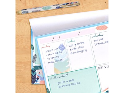 Carpe Diem Feathers 8.3" x 11.7" Weekly Planner, Multicolor, 6/Pack (9219-CD)