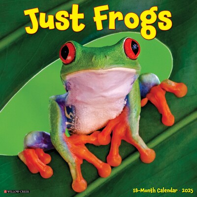 2025 Willow Creek Just Frogs 12 x 12 Monthly Wall Calendar (42977)