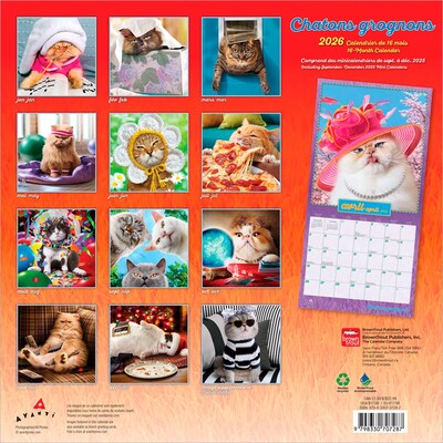 2026 BrownTrout Avanti Chatons Grognons OFFICIEL 12 x 12 Monthly Wall Calendar (9798330707287)