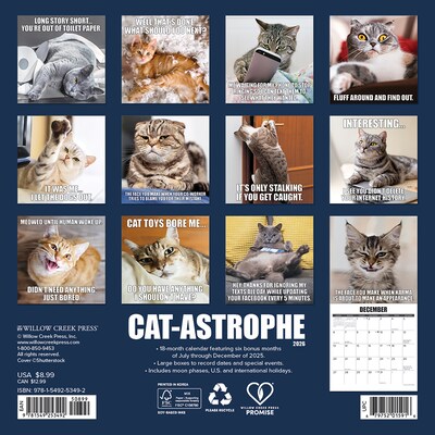 2026 Willow Creek Cat-astrophe 7 x 7 Monthly Wall Calendar (53492X)