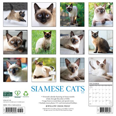2027 Willow Creek Siamese Cats 12 x 12 Monthly Wall Calendar, Assorted Colors (62326)