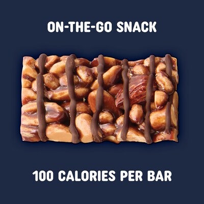 Pick Me Up Provisions™ Mini Gluten Free Peanut Butter Dark Chocolate Nut Bar, 0.7 oz., 20/Box (PM62796)