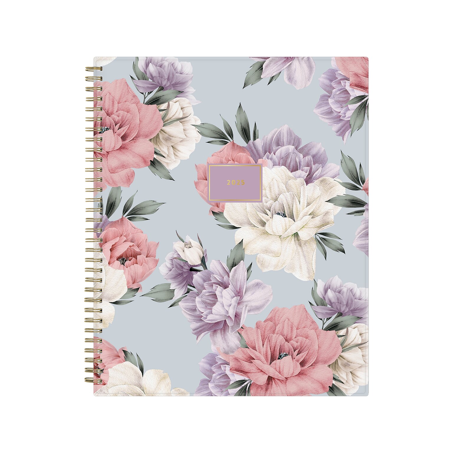 2025 Blue Sky Tula 8.5" x 11" Weekly & Monthly Planner, Plastic Cover