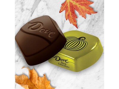 Dove Promises Pumpkins Bite-Size Dark Chocolate Pieces, 8.87 oz. (440837)