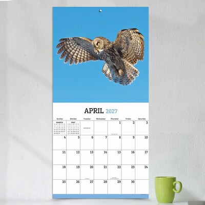2027 TF Publishing Owls 11" x 12" Monthly Wall Calendar, Multicolored (27-1044)