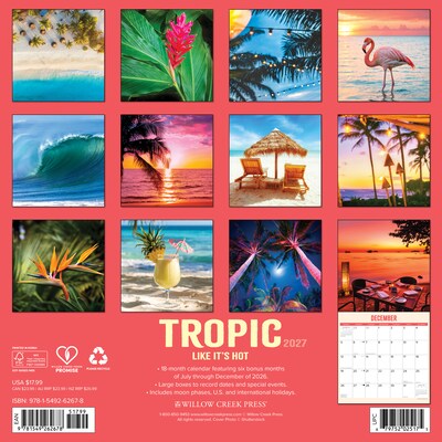 2027 Willow Creek Tropic 12 x 12 Monthly Wall Calendar, Assorted Colors (62678)