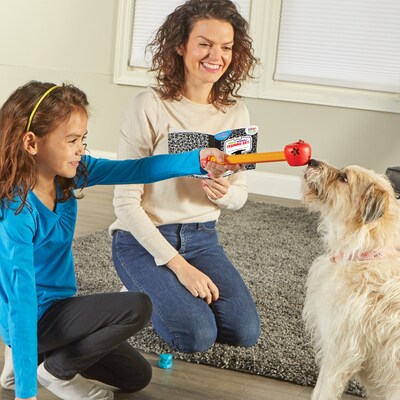Brightkins Pooch School! Training Set, Multicolored, 6 Pieces (LER9363)