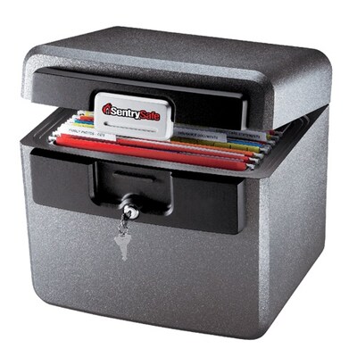 SentrySafe Plastic Fire/Waterproof Safe with Key, 0.65 cu. ft. (HD4100)