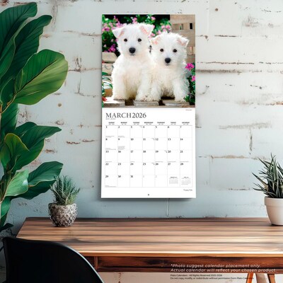 2026 Plato Puppy Pals 12" x 12" Monthly Wall Calendar (9798330706839)