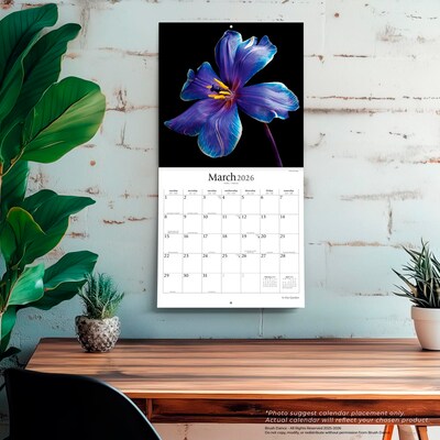 2026 Brush Dance In the Garden 12" x 12" Monthly Wall Calendar (9798330706525)
