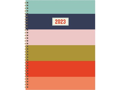 2023 TF Publishing Super Stripe 9 x 11 Weekly & Monthly Planner, Multicolor (LWM-23-9722)