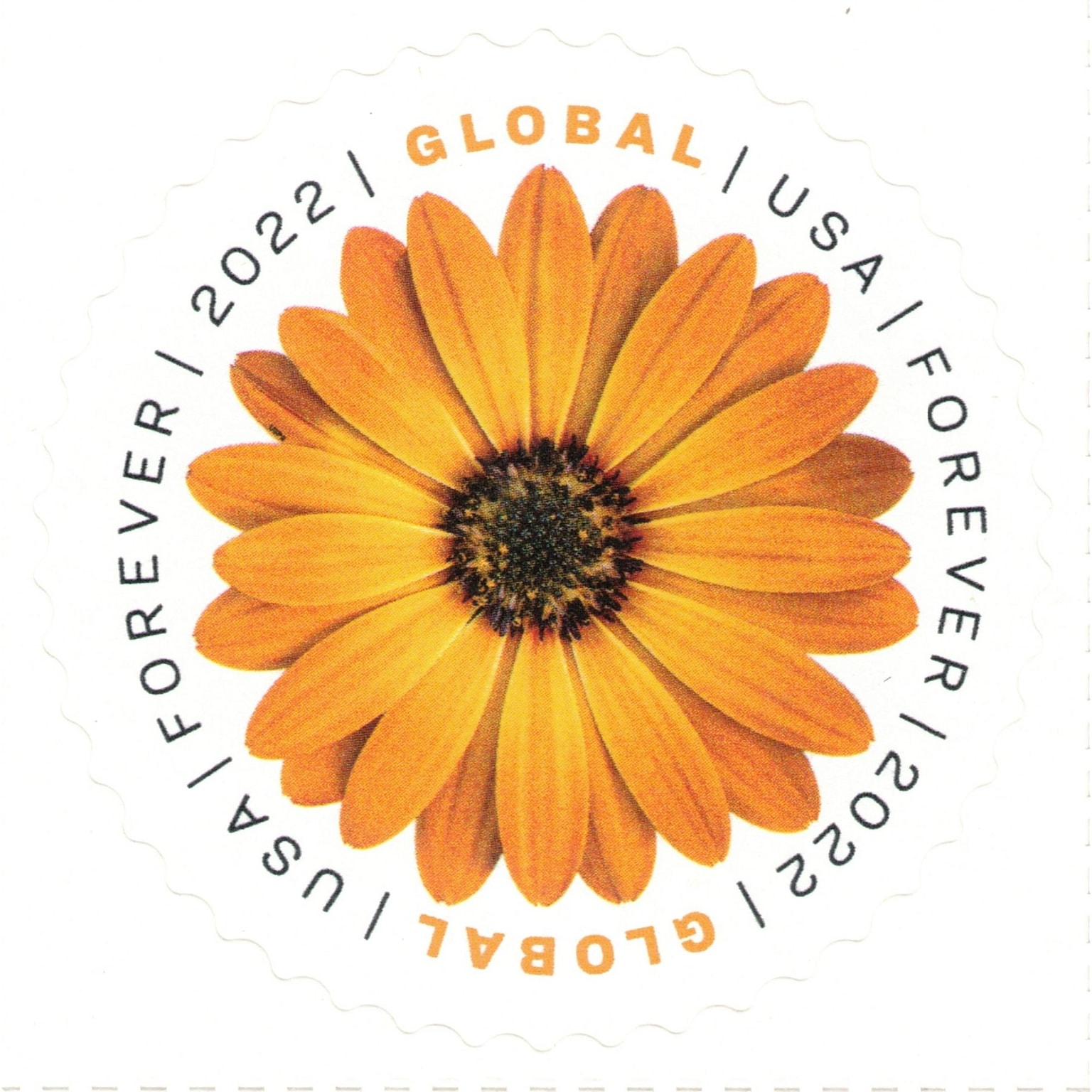 USPS Global Forever 20 Postage Stamps (USPS4EVGLOB)