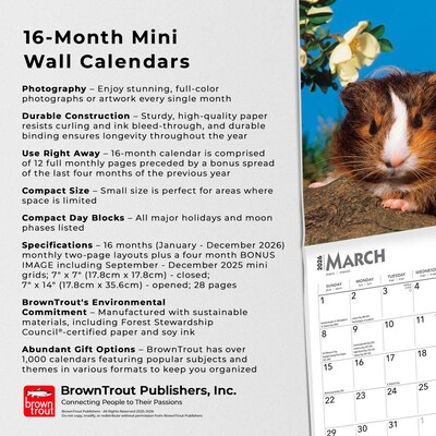 2026 BrownTrout Guinea Pigs 7" x 7" Monthly Wall Calendar (9798330703562)