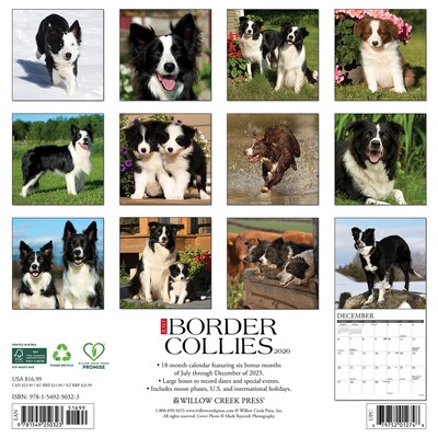 2026 Willow Creek Border Collies 12 x 12 Monthly Wall Calendar (50323)