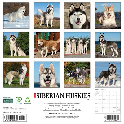 2027 Willow Creek Siberian Huskies 12 x 12 Monthly Wall Calendar, Assorted Colors (62333)
