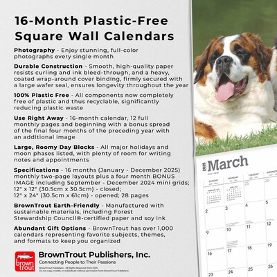 2025 BrownTrout Saint Bernards 12" x 24" Monthly Square Wall Calendar (9781975477653)