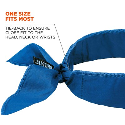 Ergodyne Chill-Its 6700 Cooling Bandana, Blue, One Size (12399)