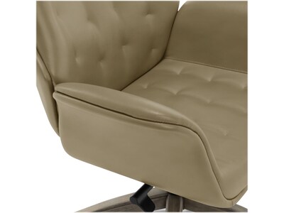 Thomasville Furniture Brooks Ergonomic Bonded Leather Swivel Executive Chair, Taupe (51493-TP)