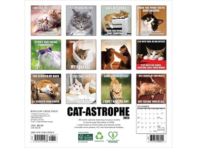 2025 Willow Creek Cat-astrophe 7 x 7 Monthly Wall Calendar (45688)