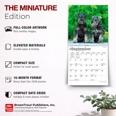 2027 BrownTrout Schnauzer Puppies 7" x 7" Monthly Wall Calendar (9798330710072)