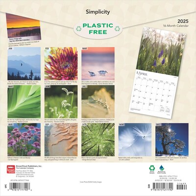 2025 BrownTrout Simplicity 12 x 24 Monthly Square Wall Calendar, (9781975477790)