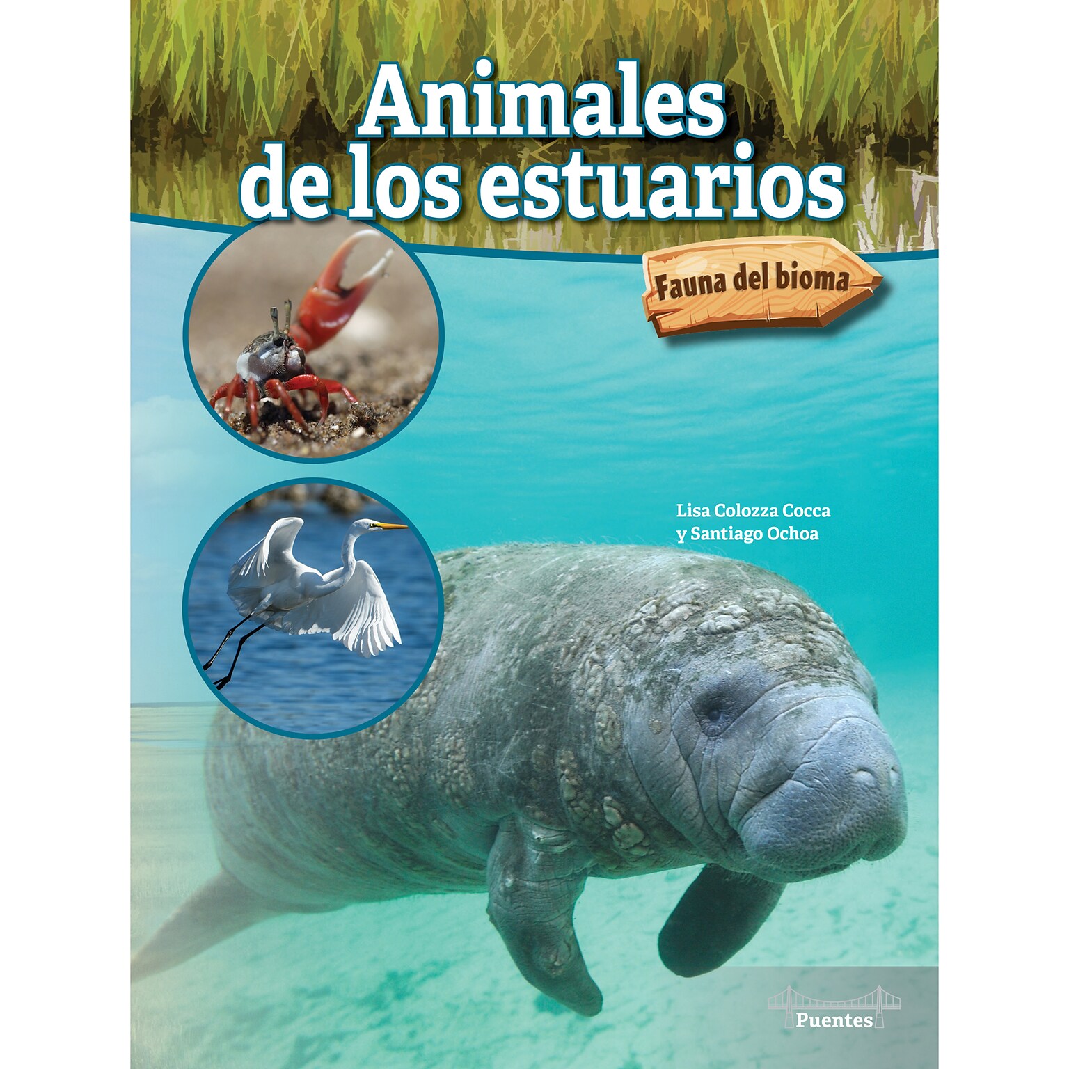 Carson-Dellosa Bridges Animales de los estuarios, Hardcover (CD-9781731654632)