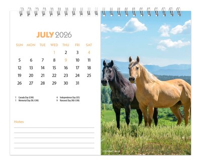 2026 BrownTrout Horse Lovers 7.5" x 6" Monthly Desk Calendar (9798330703685)