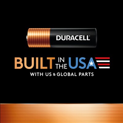 Duracell Coppertop D Alkaline Batteries, 4/Pack (DURMN1300R4Z)