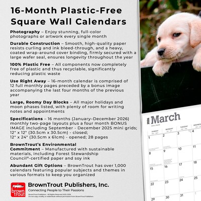 2026 BrownTrout Labrador Retriever Puppies 12" x 12" Monthly Wall Calendar (9798330704170)