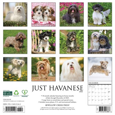 2026 Willow Creek Havanese 12 x 12 Monthly Wall Calendar (51443)