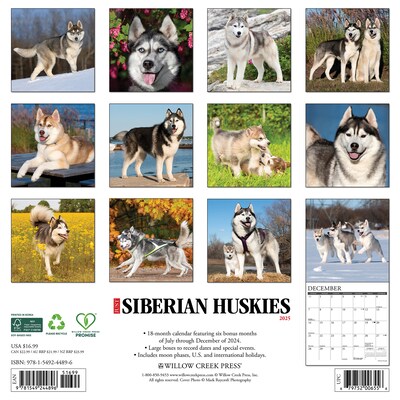 2025 Willow Creek Just Siberian Huskies 12 x 12 Monthly Wall Calendar (44896)