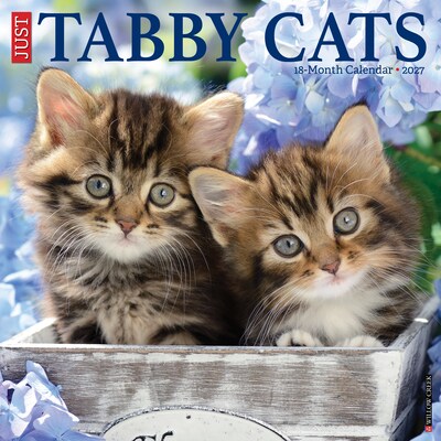 2027 Willow Creek Tabby Cats 12 x 12 Monthly Wall Calendar, Assorted Colors (62531)