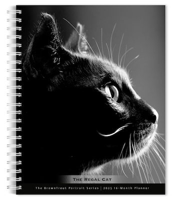 2025 BrownTrout Portrait Series: The Regal Cat 6 x 7.75 Weekly Engagement Planner, Paper Cover, Mu