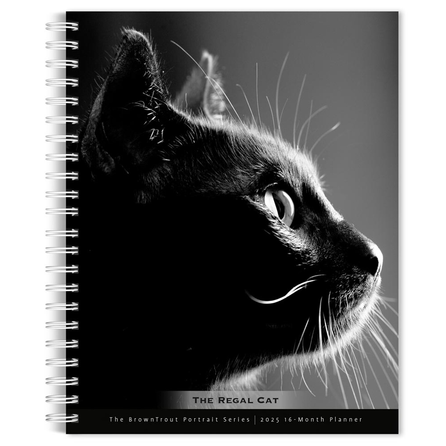 2025 BrownTrout Portrait Series: The Regal Cat 6 x 7.75 Weekly Engagement Planner, Paper Cover, Multicolored (9781975473211)