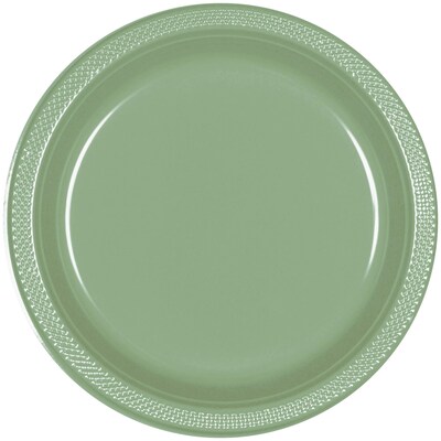 Party City 10.25 Plastic Plates, Jade, 20 Plates/Pack (AM43015-166-NS)