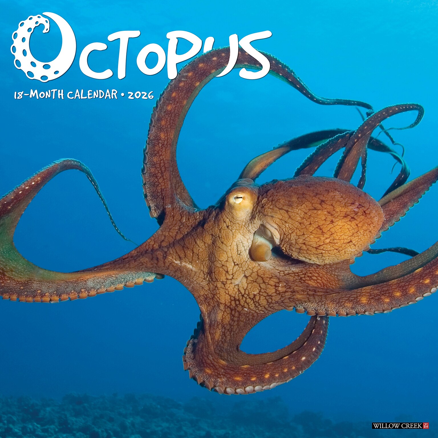 2026 Willow Creek Octopus 12 x 12 Monthly Wall Calendar (56028)