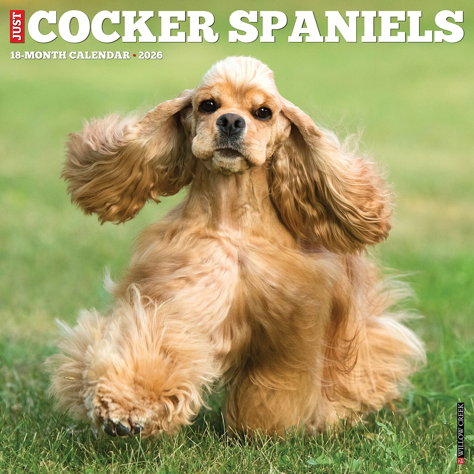 2026 Willow Creek Cocker Spaniels 12 x 12 Monthly Wall Calendar (50781)