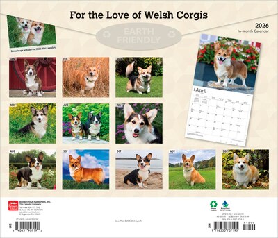 2026 BrownTrout For the Love of Welsh Corgis 14 x 12 Monthly Wall Calendar (9798330707195)