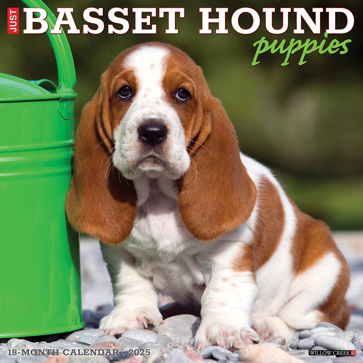 2025 Willow Creek Basset Hound Puppies 12 x 12 Yearly Wall Calendar (41598)