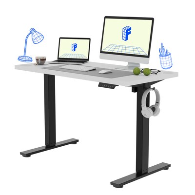 FlexiSpot E2 48W Electric Adjustable Standing Desk, White/Black (E2B4824W)