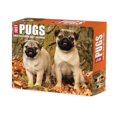 2026 Willow Creek Just Pugs 6.2" x 5.4" Day-to-Day Calendar (54376)