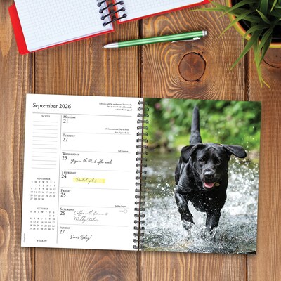 2026 Willow Creek What Labs Teach Us 6.5" x 8.5" Weekly Planner, Paperboard Cover (55267)