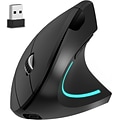 Delton Ergonomic 12 Wireless Right Handed Optical 2.4 GHz Gaming Mouse, Black (DMERG12-WR )