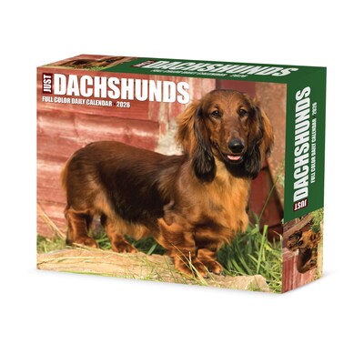 2026 Willow Creek Dachshunds 6.2" x 5.4" Day-to-Day Calendar (54093)