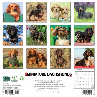 2027 Willow Creek Miniature Dachshunds 12 x 12 Monthly Wall Calendar, Assorted Colors (61206)