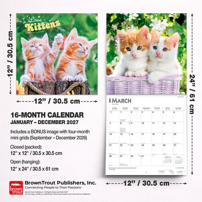 2027 BrownTrout I Love Kittens 12" x 12" Monthly Wall Calendar (9798330711802)