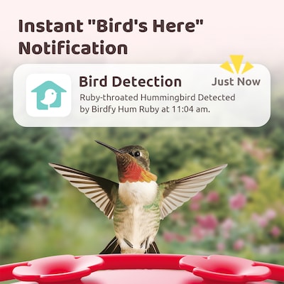 Birdfy Smart Hummingbird Feeder Ruby with Camera and AI by Subscription, Red (EPPAMBNI8902100)