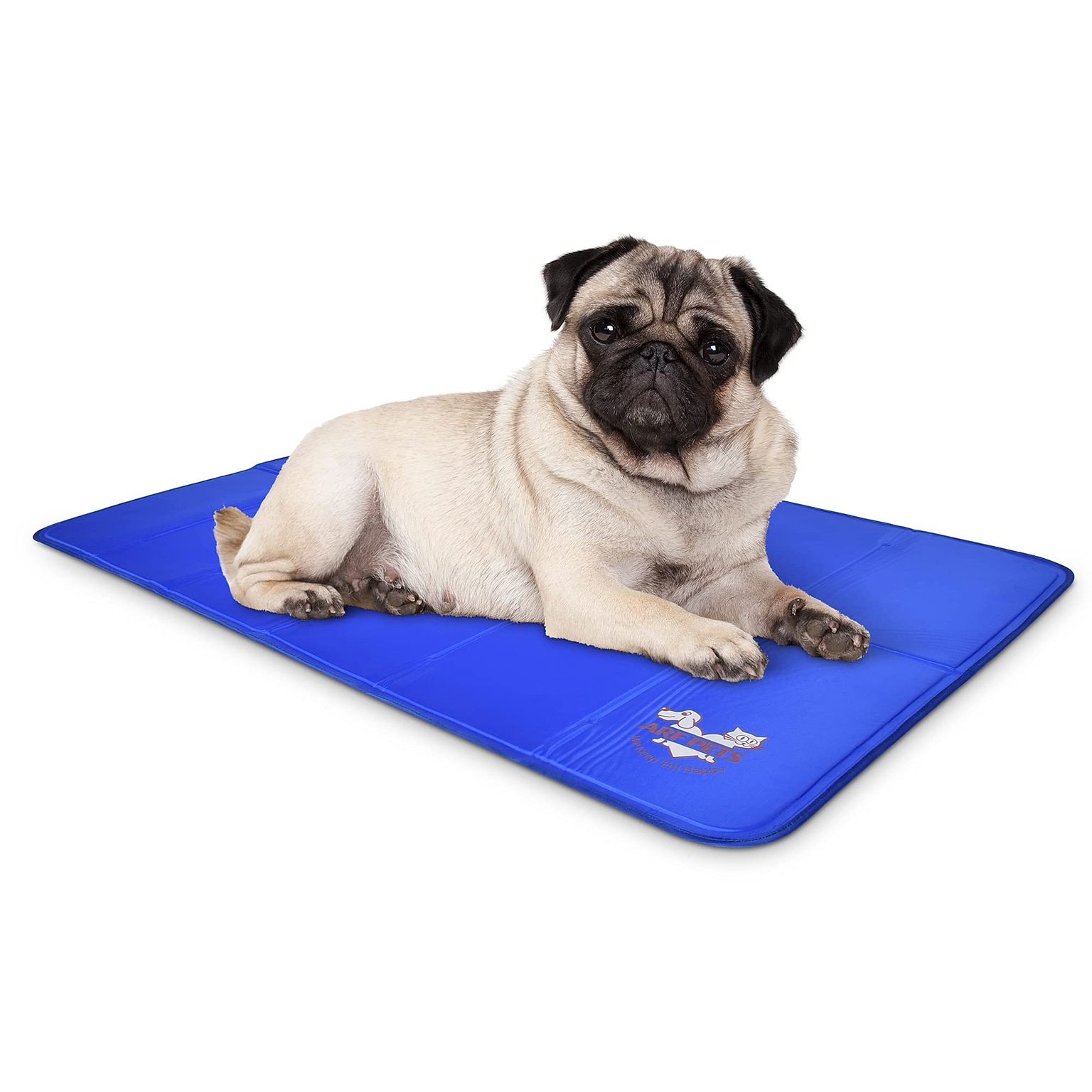 Arf Pets Non-Toxic Gel Dog Cooling Bed Mat for Kennels, 23” x 35”, Blue (APCLPD0124)
